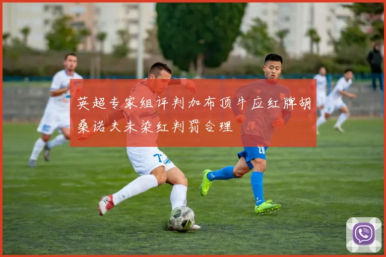 英超专家组评判加布顶牛应红牌胡桑诺夫未染红判罚合理