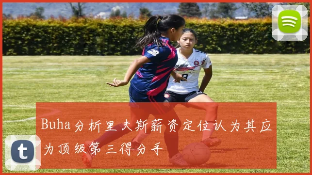 Buha分析里夫斯薪资定位认为其应为顶级第三得分手